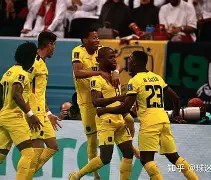 九游网页官网-摩尔道瓦主场憾负奥地利，小组出线希望渺茫的简单介绍